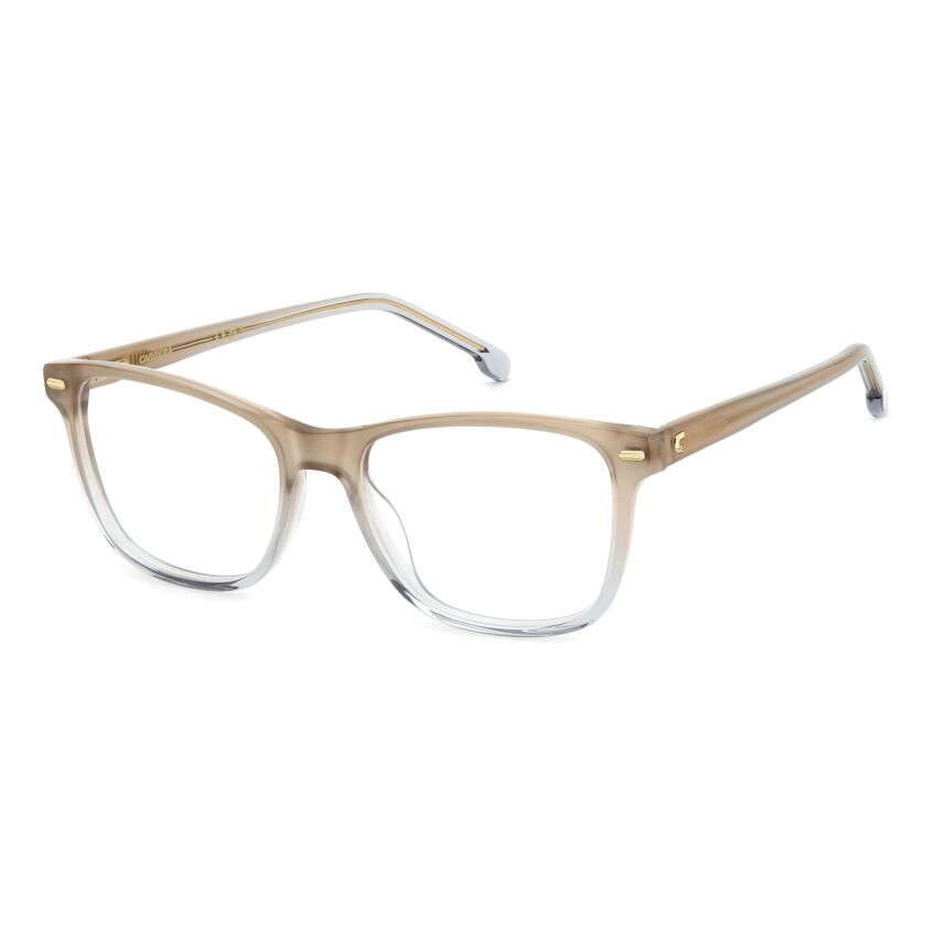 CARRERA 3009 690