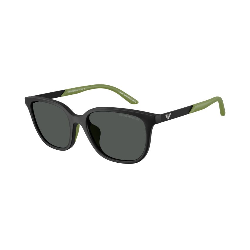 EK4006U 500187
