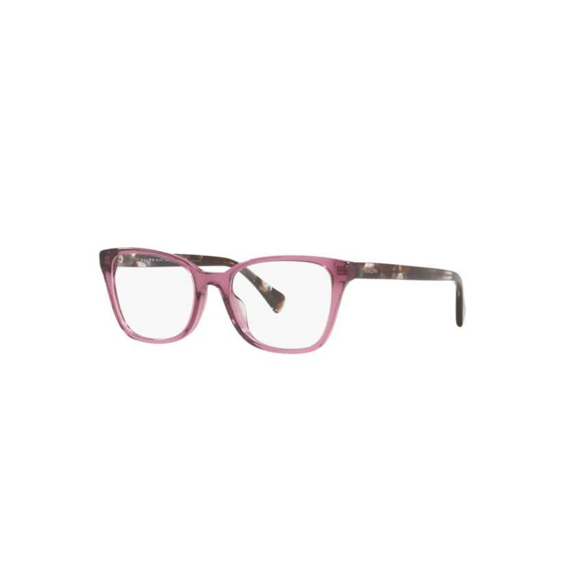 RA7137U 6008