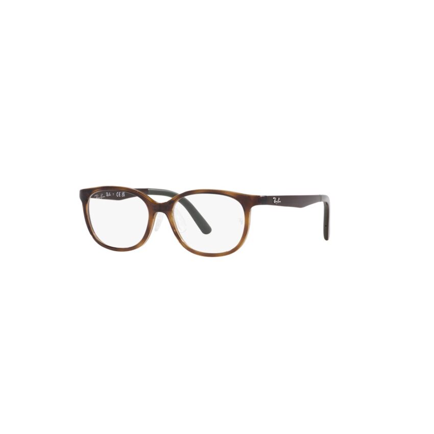 RY1614D 3863