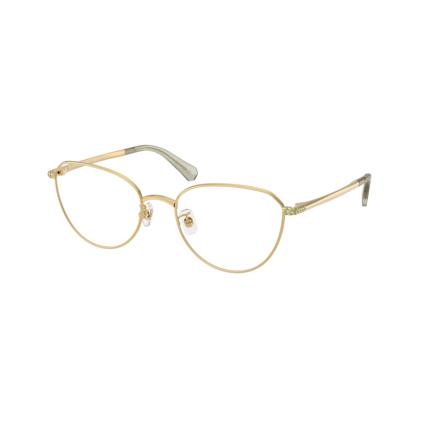 SK1029D 4017