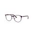 RY9552V 4098